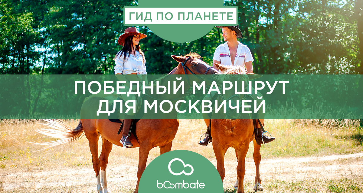 верховые поездки на лошадях