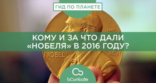 подбор продуктов для похудения расчет подбор продуктов для похудения расчет